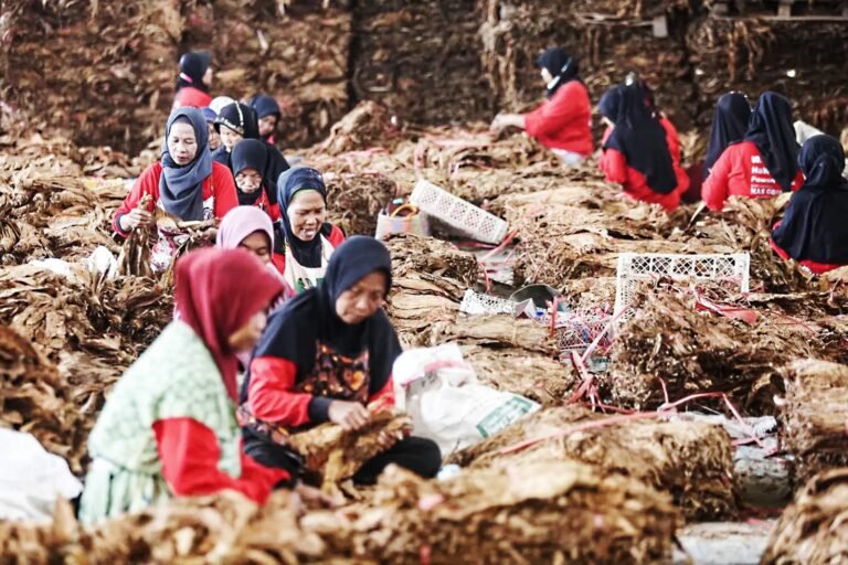 WhatsApp Image 2024-02-07 at 01.28.31 (1)