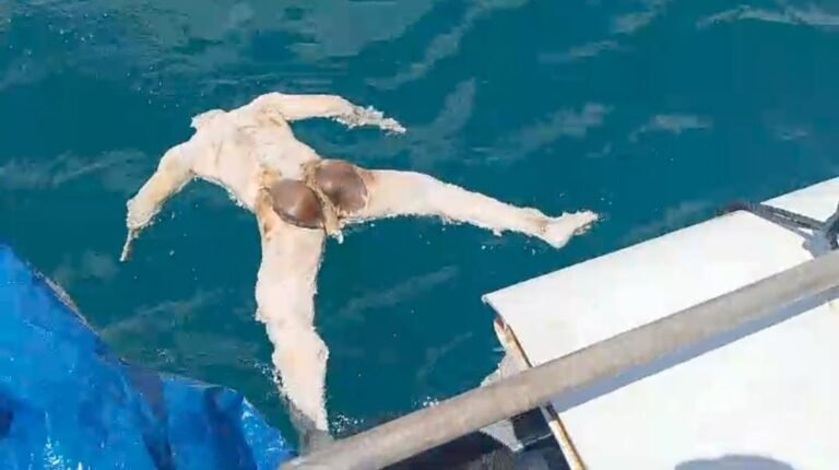 WhatsApp Image 2024-04-01 at 01.07.26